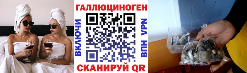 мега зеркало Ростов Галлюциногенные грибы мухоморы
